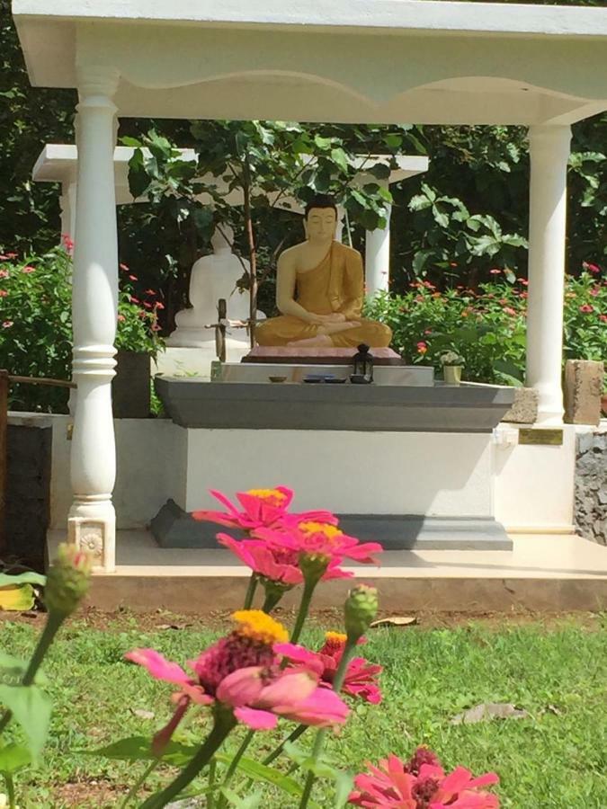 Peacock Resort Anuradhapura Exterior foto